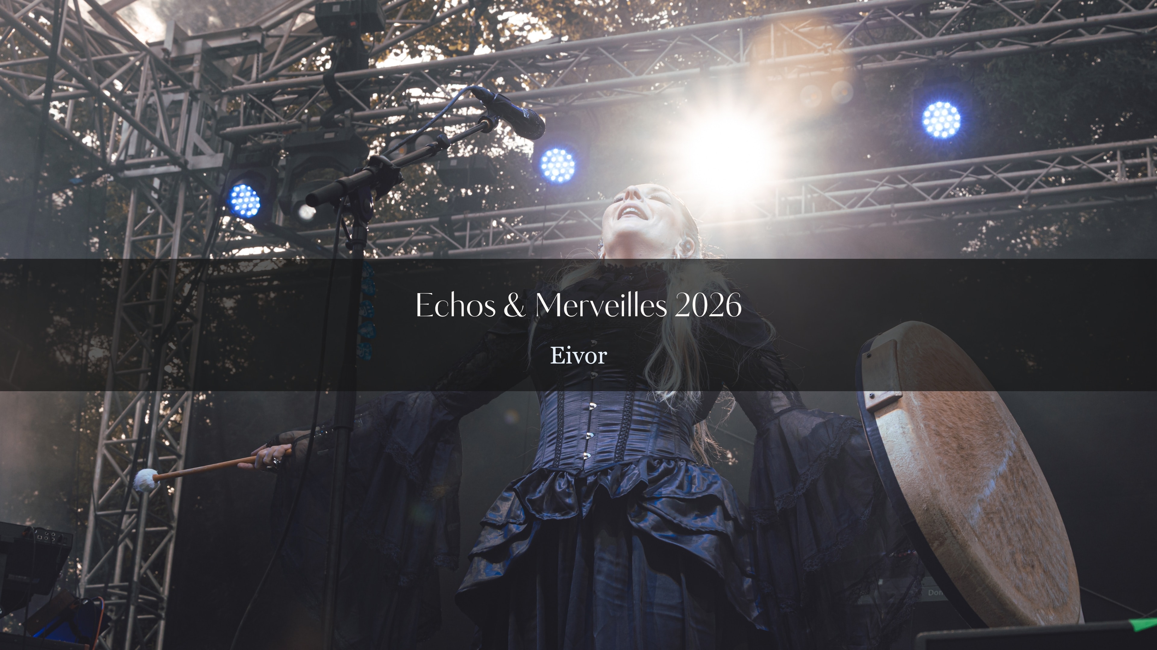 Gallery cover image